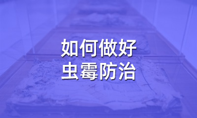 檔案修復后，如何做好蟲霉防治